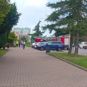 Gniazdo os na budynku ZUS w Radomsku