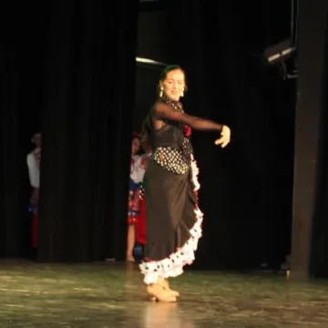 Koncert zespołów folklorystycznych w MDK