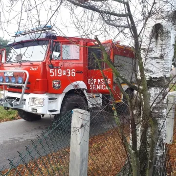 Sarna utknęła w ogrodzeniu. Na pomoc wezwano strażaków z Silnicy