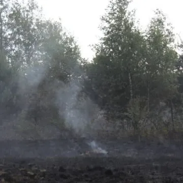 Pożar łąk na Dąbrówce 