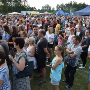 Miód w roli głównej w Gomunicach 