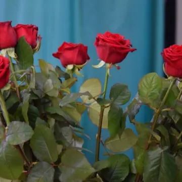 70 lat „Drzewniaka”