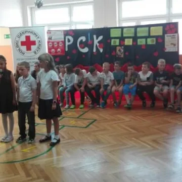 Podsumowanie programów edukacyjnych PCK