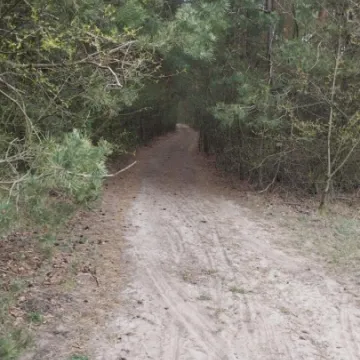 Wypadek podczas jazdy konnej. Strażacy wspierali ratowników medycznych