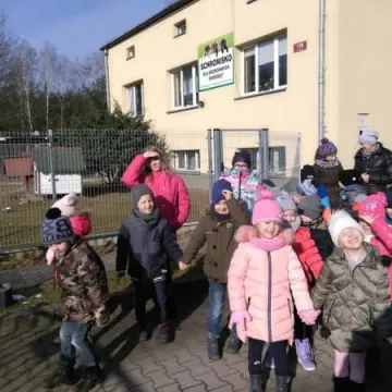 Dzieci pomagają zwierzętom