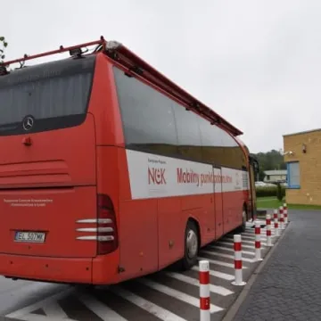 Piknik dla zdrowia i rekreacji