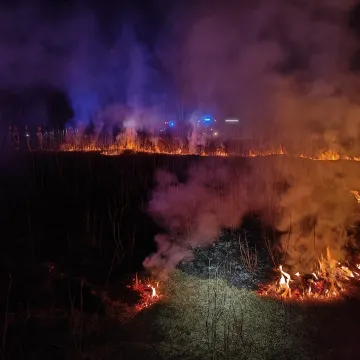 Seria podpaleń traw w powiecie radomszczańskim