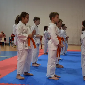 Karatecy na tatami na turnieju w Radomsku