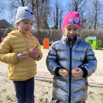 Zajączek ukrył się w PP nr 5 w Radomsku. Dzieci ruszyły na poszukiwania