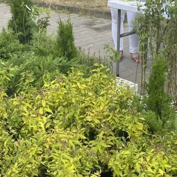 W Radomsku trwa finał mobilnej zbiórki elektroodpadów