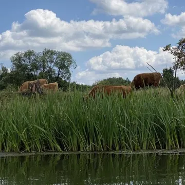 ERA Travel zaprasza na spływy kajakowe