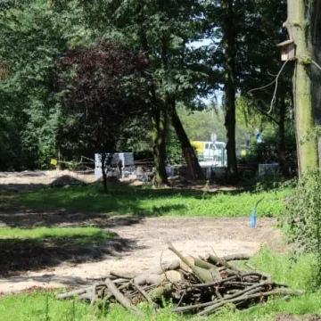 Postęp prac rewaloryzacyjnych w parku Świętojańskim [zdjęcia i film]