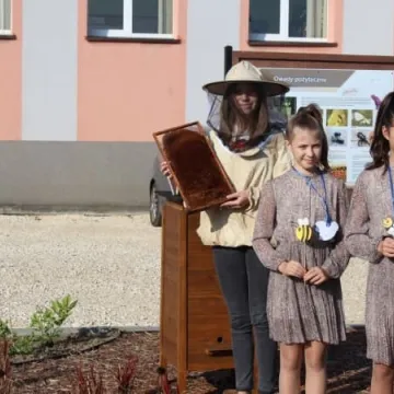 Ekopracownia pod chmurką w PSP nr 9 w Radomsku już działa