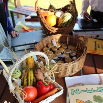 Ekopracownia pod chmurką w PSP nr 9 w Radomsku już działa