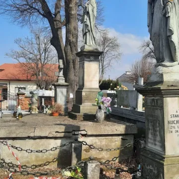 Pielęgnacja zabytkowej lipy