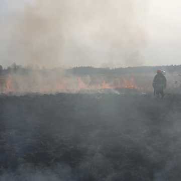 Gm. Gidle. Płonęło ponad 20 hektarów. To największy pożar nieużytków w tym roku