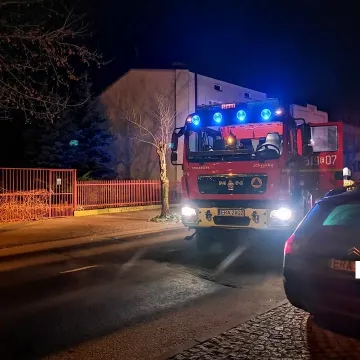 Kamieńsk: kierowca zasnął i wjechał w drzewo