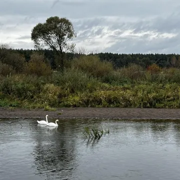 Fotograficzne łowy Foto Pozytywu