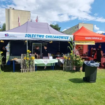 Słodka zabawa z miodem w Gomunicach