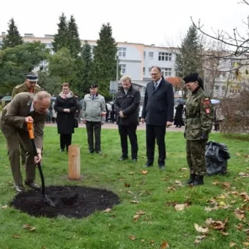 Dąb Pamięci dla „Warszyca”