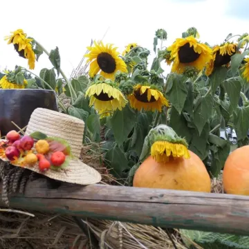 Społeczność Szczepocic dziękowała za plony