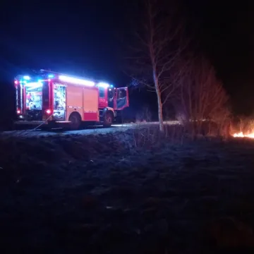 Pożar suchych traw na pograniczu dwóch województw