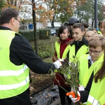 Róże na urodziny Radomska