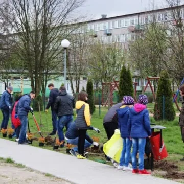Samorządowcy z Platformy Dialogu sadzili drzewa