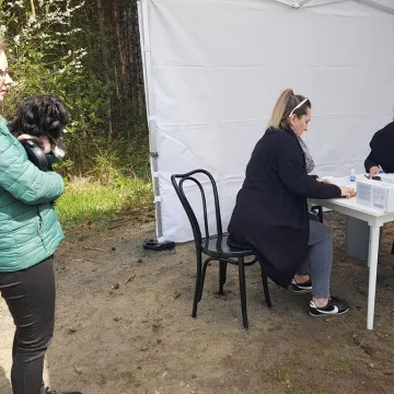 W schronisku w Radomsku bezpłatnie czipowano zwierzęta