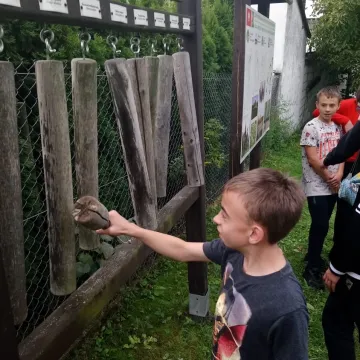 Ruszyła kolejna edycja programu „Leczymy lasem”