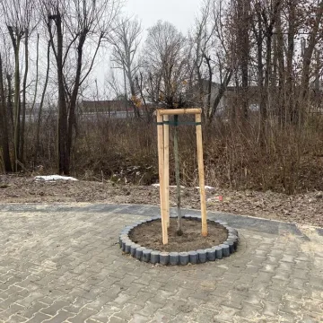 Tak zmienia się teren przy Kraszewskiego w Radomsku