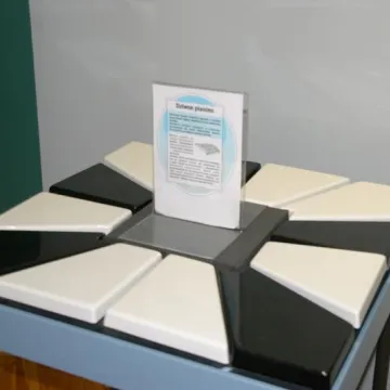 „Świat zmysłów” - nowa interaktywna wystawa w muzeum