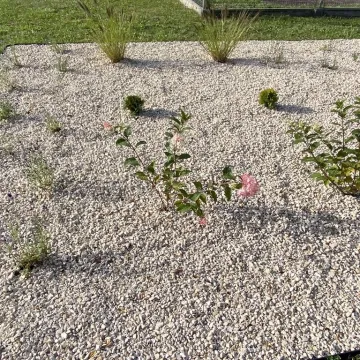 Okrajszów ma swój ekologiczny skwerek. Wielkie otwarcie z piknikiem