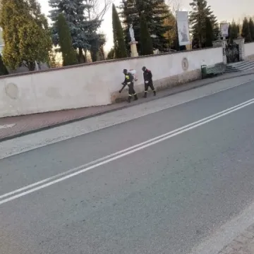 Odkażanie w gminie Wielgomłyny