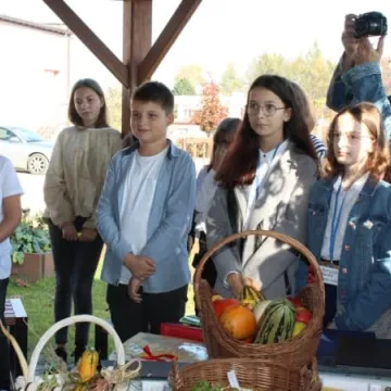 Ekopracownia pod chmurką w PSP nr 9 w Radomsku już działa