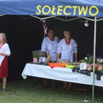 Piknik Ekologiczny w Parku Solidarności w Radomsku