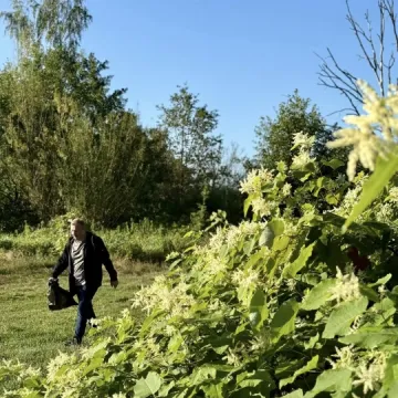 Wielkie sprzątanie w Przedborzu. Pilica odzyskała blask