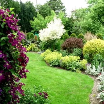 Radomsko w kwiatach i zieleni 