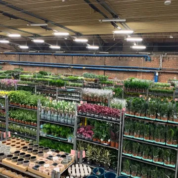 Jesienna edycja Festiwalu Roślin w Radomsku