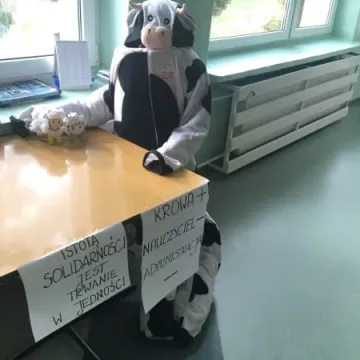 Strajk nauczycieli – co z maturami?