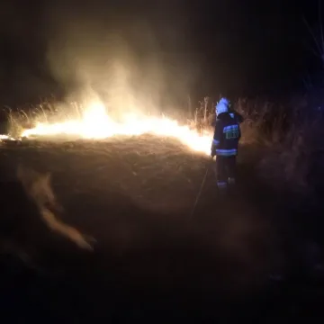Pożar suchych traw na pograniczu dwóch województw