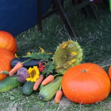 Piknik Ekologiczny w Parku Solidarności w Radomsku