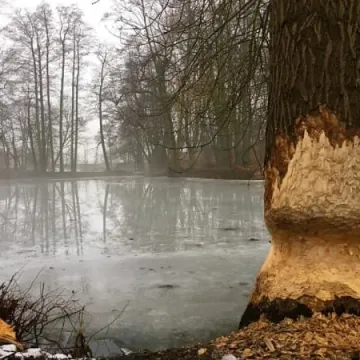 Plener fundacji FotoPozytyw