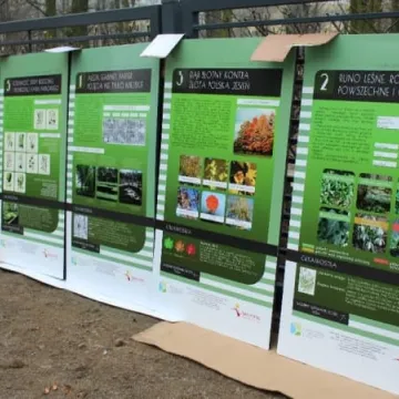 Rewaloryzacja parku Świętojańskiego zakończona