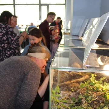 Pająki i skorpiony w MDK w Radomsku