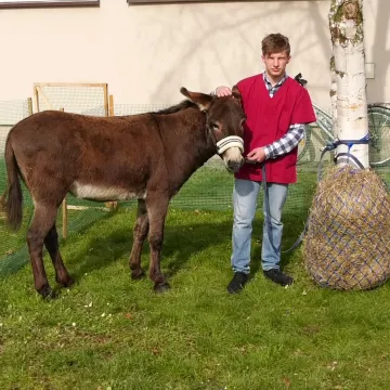 Dni Otwarte w ZSCKR w Dobryszycach