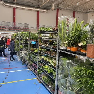 Rośliny opanowały Radomsko. Festiwal Roślin odbył się po raz pierwszy