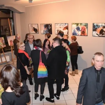 Cztery łapy w obiektywie 