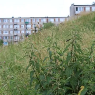 Zarośnięty „Wielorybek” nie zachęca