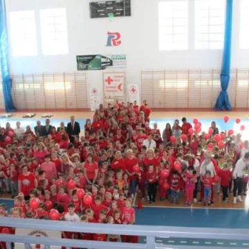 Światowy Dzień Czerwonego Krzyża i Czerwonego Półksiężyca w Radomsku